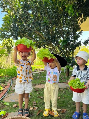 three children are holding pots of lettuce on their heads at Homestay Vườn Trái Cây Nhiệt Đới VÔ ƯU GARDEN in Bao Loc