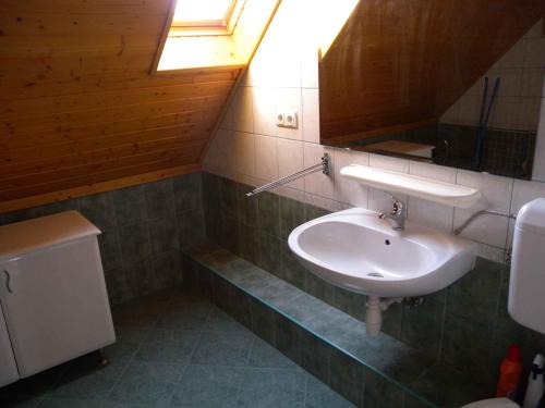 バラトンフェニヴェシュにあるApartment Balatonfenyves/Balaton 18381のバスルーム(洗面台、鏡付)