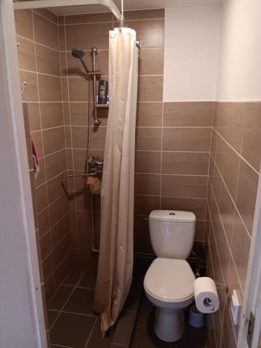 y baño pequeño con aseo y ducha. en Stāķi, en Alūksne
