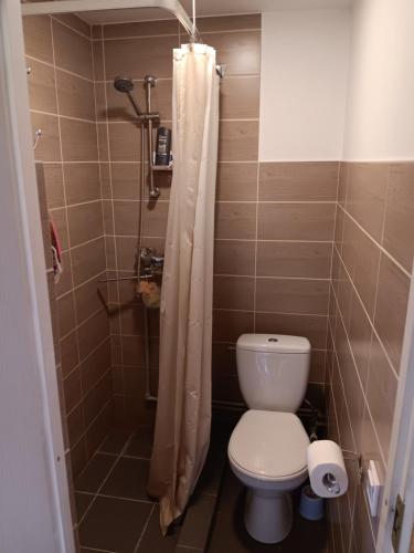 a small bathroom with a toilet and a shower at Stāķi in Alūksne