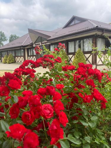 Un jardín fuera de Hotel Kopa - Lviv