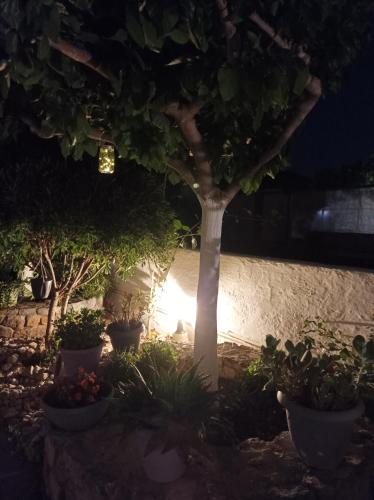 Gallery image of Studios Antoniou in Skala
