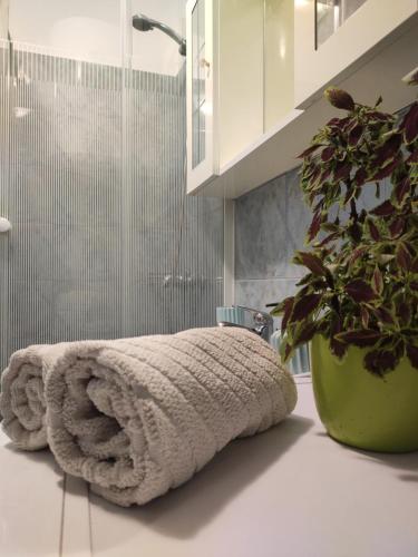 a bathroom with a towel and a plant on a counter at Kuća za odmor TRI SUNCA in Pula