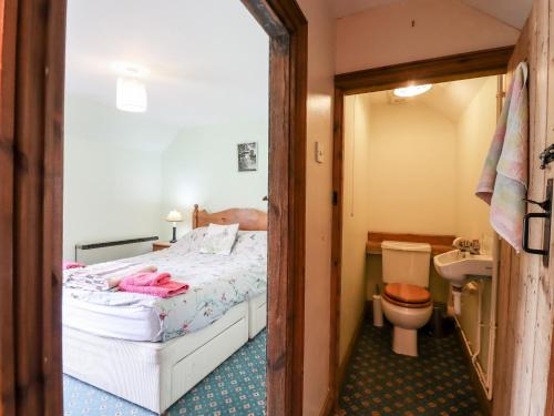 a bedroom with a bed and a toilet and a sink at 1 Forge Cottages in Saxmundham