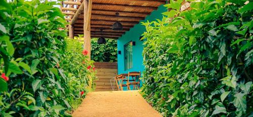 a pathway leading to a blue house with a chair at Flat Noronha Dreams in Fernando de Noronha
