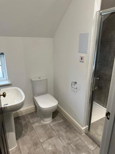 a bathroom with a toilet and a sink and a shower at The Pump House in St Ives