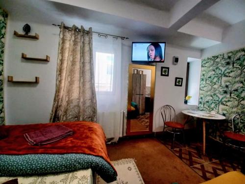 1 dormitorio con 1 cama y TV en la pared en Studios Republicii Brasov en Brasov