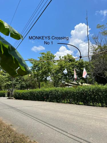 a street sign that reads monkeys crossing no at hotelsonidosamados-osa in Sierpe
