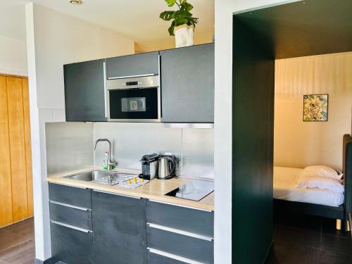 eine kleine Küche mit einer Spüle und einer Mikrowelle in der Unterkunft Vieux-Lille - Studio haut de gamme in Lille