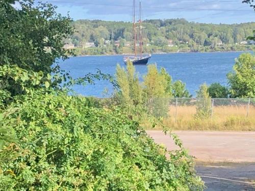 a sail boat on the water with a field at Seabank House Bed and Breakfast Ahoy in Pictou