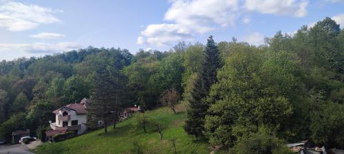 una casa en una colina en medio de un bosque en Ivka en Gabrovo
