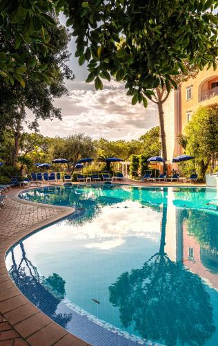a swimming pool with a tree in the middle at Hotel San Valentino Terme in Ischia