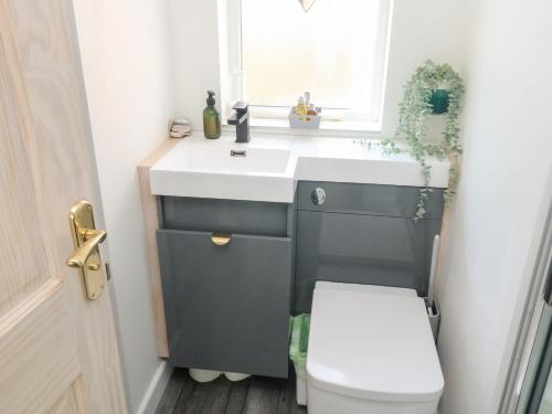 łazienka z umywalką, toaletą i oknem w obiekcie The Annex w mieście Exeter