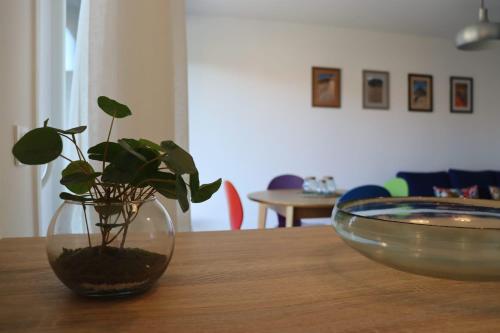 a plant in a glass vase on a wooden table at Uzès centre la TERRASSE des CAPUCINES avec Garage privée in Uzès