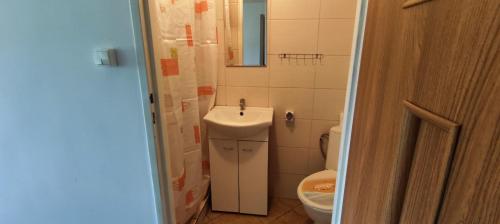 a small bathroom with a sink and a toilet at Agroturystyka Radziucie in Radziucie
