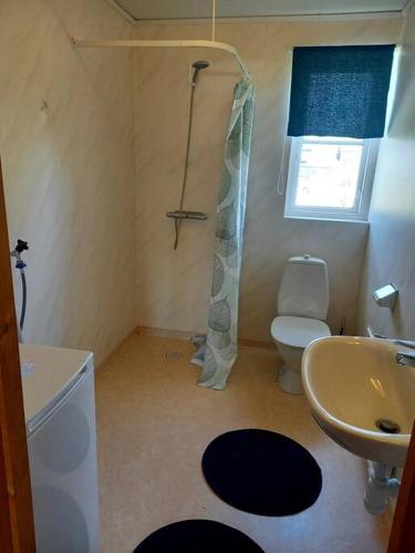 W łazience znajduje się prysznic, toaleta i umywalka. w obiekcie Lägenhet i Mörrum. Fiske w mieście Mörrum
