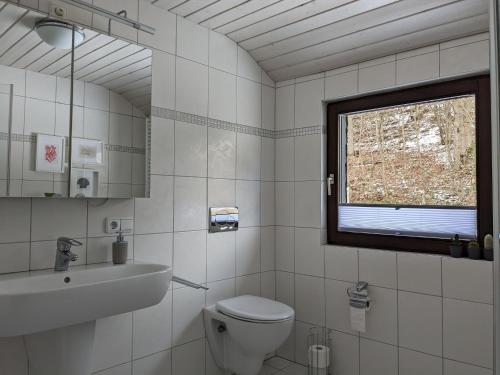 a bathroom with a toilet and a sink and a window at Ferienwohnung im Hambach in Bad Berleburg