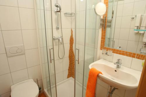 W łazience znajduje się prysznic, umywalka i toaleta. w obiekcie Apfelhof FLIEDER w mieście Kukmirn