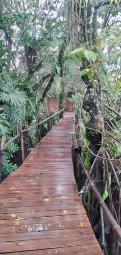 a wooden boardwalk in the middle of a forest at Tortugal Boutique River Lodge in Rio Dulce