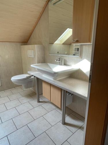 a bathroom with a sink and a toilet at Pension Marco in Trendelburg