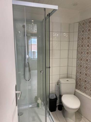 une salle de bain avec toilettes et douche en verre dans l'établissement L'appart de la liberté, à Millau