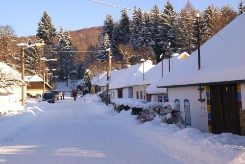 a street covered in snow with houses and trees at Penzion U Černého Potoka in Nová Lhota