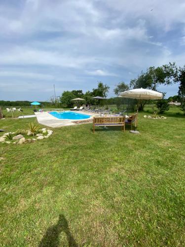 a bench with an umbrella next to a swimming pool at Figtrees in Margueron