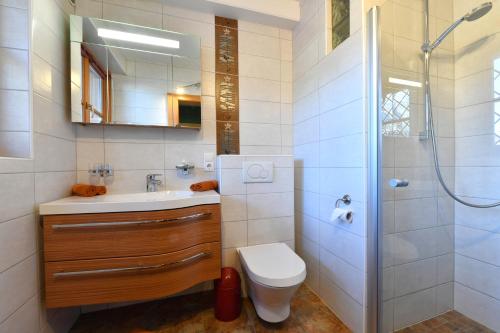 ローファーにあるLandhaus Haitzmannのバスルーム(トイレ、洗面台、シャワー付)