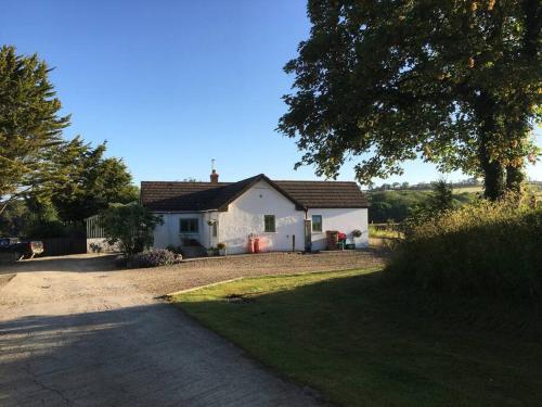 a white house with a tree and a driveway at Oaktree Cottage, West Atheston Farm in Narberth