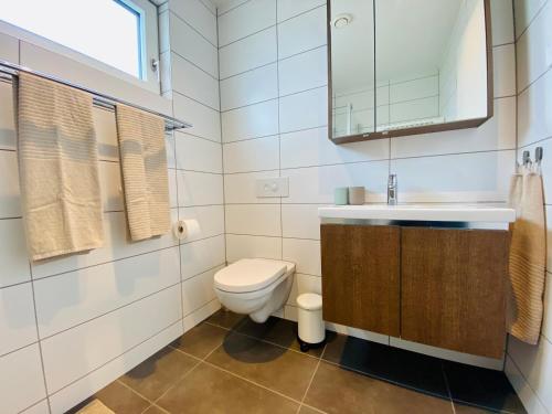 ein Badezimmer mit einem WC, einem Waschbecken und einem Spiegel in der Unterkunft BUSINESS APARTMENT in Deitingen Tiny House ZIMMERzuVERMIETEN in Deitingen