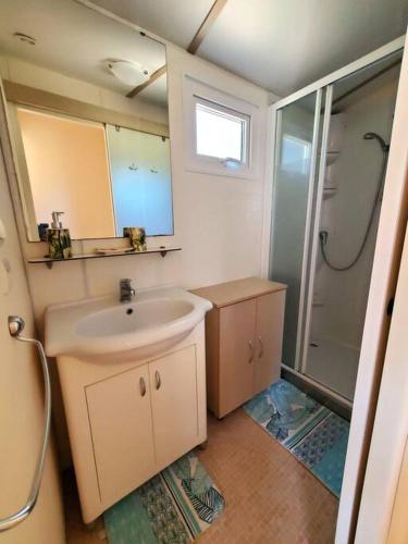 y baño pequeño con lavabo y ducha. en Bungalow L'Estagnol - 3 chambres en Sigean