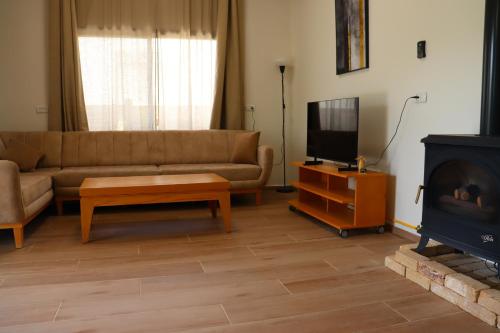 a living room with a couch and a tv and a fireplace at Har-Adir B&B in Ḥurfeish