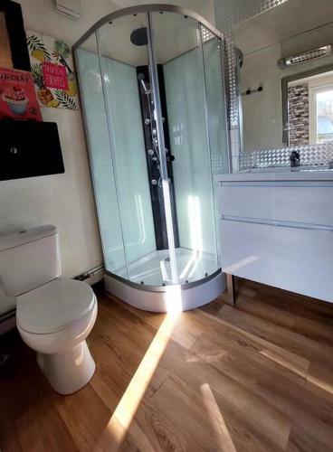 a bathroom with a shower and a toilet and a sink at Le calme de la campagne proximité Center Parcs in Saint-Léger-de-Montbrillais