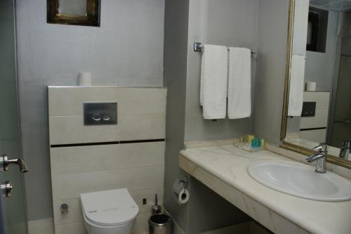 a bathroom with a sink and a toilet and a mirror at Alfin Hotel in Ankara