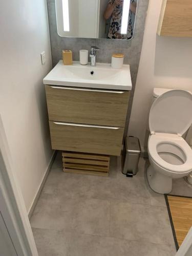 une petite salle de bain avec toilettes et lavabo dans l'établissement Joli Studio avec piscine, à Mandelieu-la-Napoule
