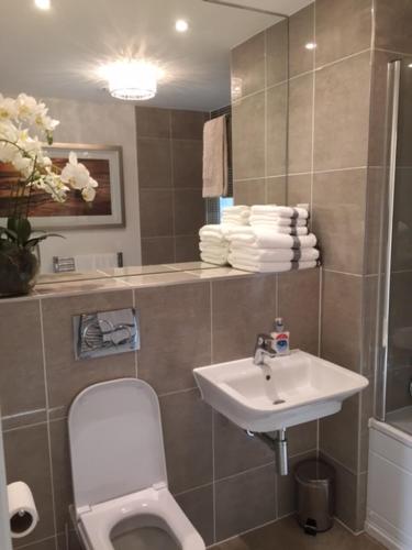 a bathroom with a toilet and a sink at Cardiff luxury apartments in Cardiff