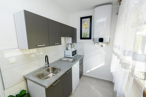 una pequeña cocina con lavabo y ducha en Studio apartman Ivana, en Gradište