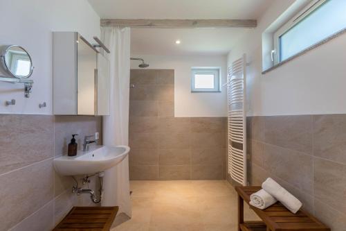 uma casa de banho com um lavatório e um chuveiro em Holtdeel em Gelting