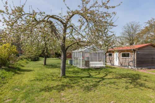 a yard with a shed and a tree at Holtdeel in Gelting