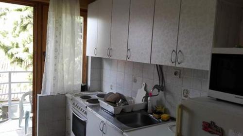 a kitchen with a stove and a sink and a microwave at Guest House - Apartment Kozle in Skopje