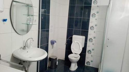 a small bathroom with a toilet and a sink at Guest House - Apartment Kozle in Skopje