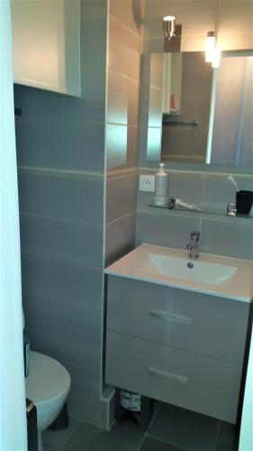 une salle de bain avec un lavabo et des toilettes dans l'établissement Studio Heliopolis Naturiste, au Cap d'Agde