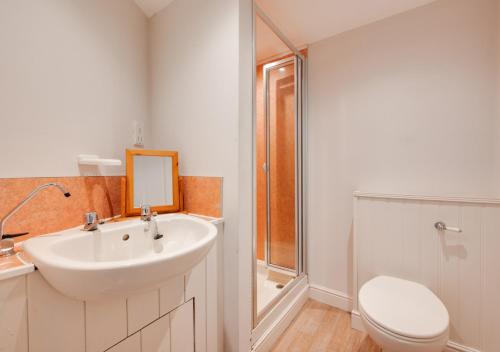 een badkamer met een wastafel, een toilet en een spiegel bij Swallows in Tosside