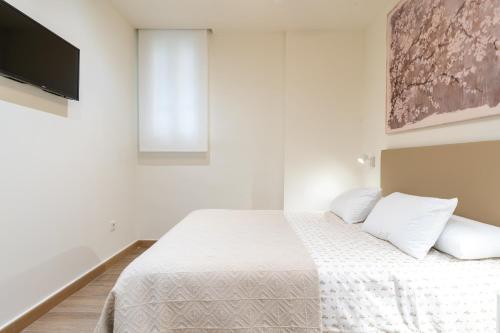 Apartamentos Cervantes 17 photo 128