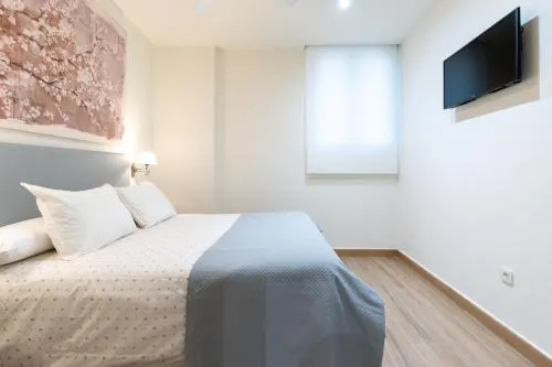 Apartamentos Cervantes 17 photo 105