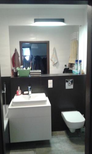ein Badezimmer mit einem Waschbecken, einem WC und einem Spiegel in der Unterkunft Atrakcyjny apartament z dużym ogrodem in Danzig