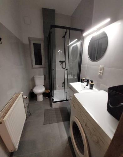 a bathroom with a shower and a toilet and a sink at Apartament Blisko Granicy in Kunowice