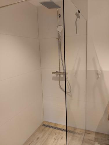 a shower in a room with a glass door at Schöne Ferienwohnung Nähe Biggesee in Berlinghausen