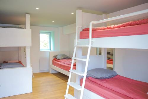 a room with four bunk beds and a ladder at La Huchetiere in Droué