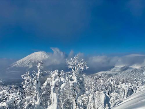 a mountain covered in snow with a snow covered forest at THE LOBS, RUSUTSU in Kimobetsu